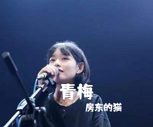 房东的猫《青梅吉他谱》(G调)