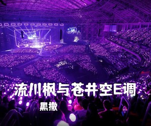 黑撒《流川枫与苍井空E调吉他谱》(E调)