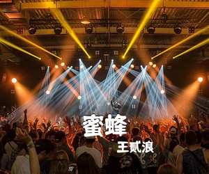 王贰浪《蜜蜂吉他谱》(C调)