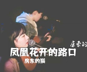 房东的猫《凤凰花开的路口吉他谱》(C调)