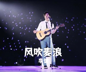 李健《风吹麦浪吉他谱》(G调)