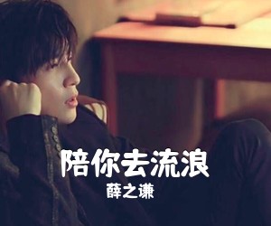 薛之谦《陪你去流浪吉他谱》(C调)