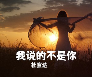 杜宣达《我说的不是你吉他谱》(D调)