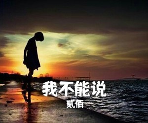 贰佰《我不能说吉他谱》(G调)