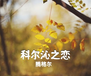 红枫《孤星情缘简谱》