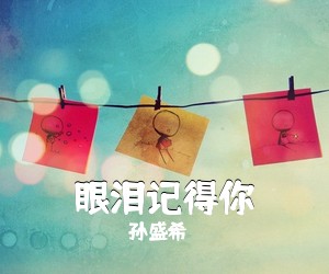 孙盛希《眼泪记得你吉他谱》(G调)