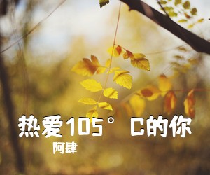 阿肆《热爱105°C的你吉他谱》(C调)