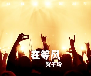贺子玲《在等风吉他谱》(C调)
