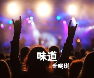 辛晓琪《味道吉他谱》(C调)