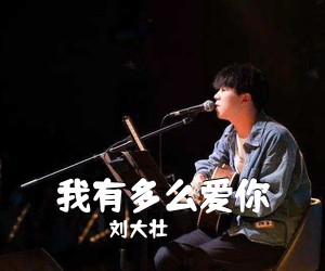 刘大壮《我有多么爱你吉他谱》(G调)