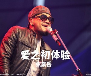 张震岳《爱之初体验吉他谱》(G调)