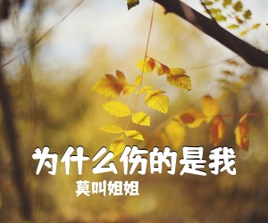 莫叫姐姐《为什么伤的是我吉他谱》(G调)