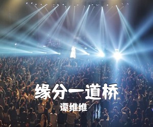 谭维维《缘分一道桥吉他谱》(C调)