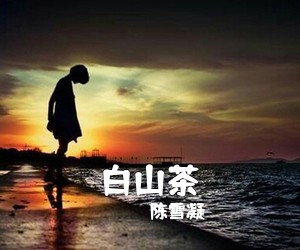 陈雪凝《白山茶吉他谱》(C调)