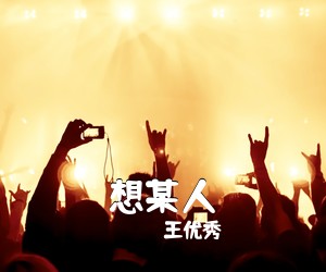 王优秀《想某人吉他谱》(G调)