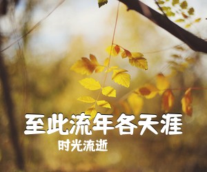 时光流逝《至此流年各天涯吉他谱》