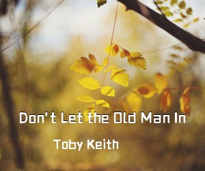 Toby Keith《Don't Let the Old Man In吉他谱》