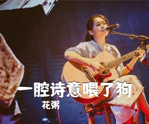 花粥《一腔诗意喂了狗吉他谱》(G调)