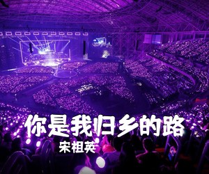 宋祖英《你是我归乡的路简谱》