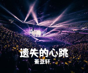 萧亚轩《遗失的心跳吉他谱》(C调)