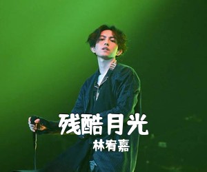 林宥嘉《残酷月光吉他谱》(G调)