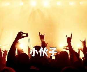 《小伙子吉他谱》(E调)