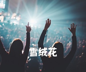 《雪绒花吉他谱》(C调)