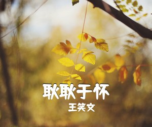 王笑文《耿耿于怀吉他谱》(G调)