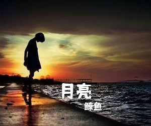 鲸鱼《月亮吉他谱》(G调)