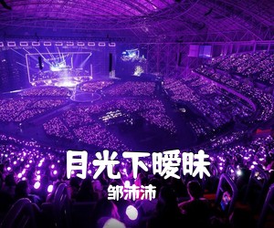 邹沛沛《月光下暧昧吉他谱》(C调)