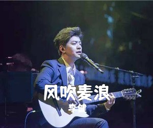 李健《风吹麦浪吉他谱》(D调)