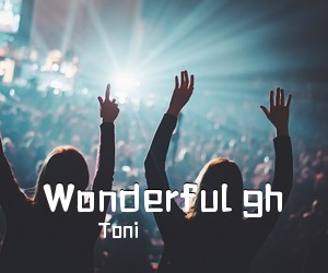 Toni《Wonderful gh吉他谱》