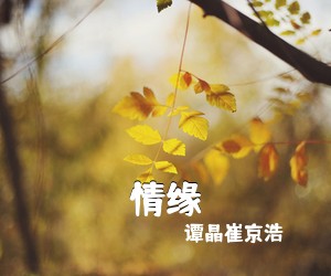 谭晶崔京浩《情缘简谱》