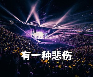 《有一种悲伤吉他谱》