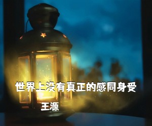 王源《世界上没有真正的感同身受吉他谱》(F调)