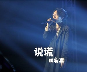 林宥嘉《说谎吉他谱》(C调)
