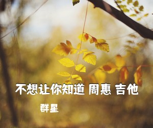 群星《不想让你知道 周惠 吉他吉他谱》