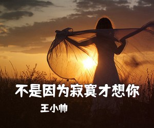 王小帅《不是因为寂寞才想你吉他谱》(C调)