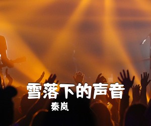秦岚《雪落下的声音吉他谱》(C调)