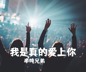 半吨兄弟《我是真的爱上你吉他谱》(C调)