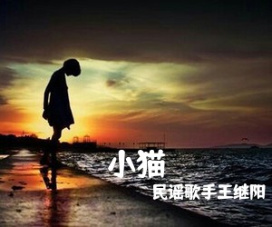 民谣歌手王继阳《小猫吉他谱》(C调)