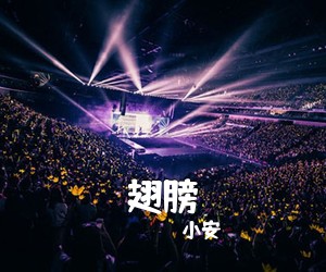 小安《翅膀吉他谱》(C调)