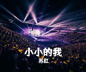 苏红《小小的我简谱》