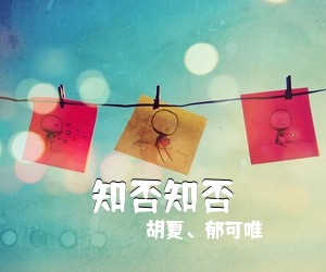 胡夏、郁可唯《知否知否吉他谱》(C调)