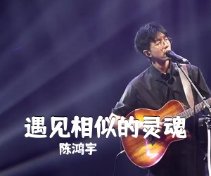 陈鸿宇《遇见相似的灵魂吉他谱》(C调)