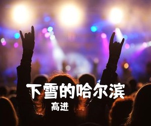 高进《下雪的哈尔滨吉他谱》(C调)