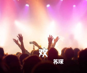苏琛《欢吉他谱》(C调)