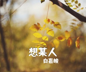 白嘉峻《想某人吉他谱》(G调)