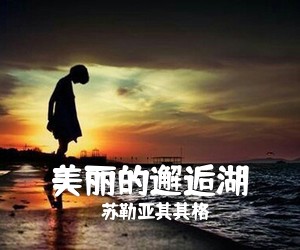 苏勒亚其其格《美丽的邂逅湖简谱》