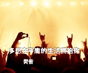 樊音《多想在平庸的生活拥抱你吉他谱》(C调)